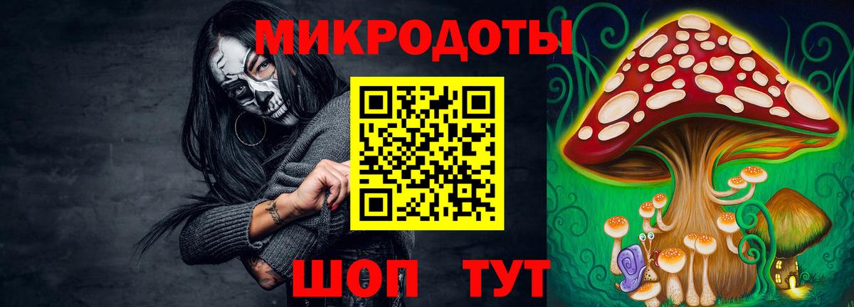 Северск  Галлюциногенные грибы Cubensis  купить закладку  Галлюциногенные грибы мухоморы  Вход с VPN 